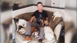 52YearOld Animal Lover Cant Stop Adopting Senior Dogs No One Wants [upl. by Aicekan]