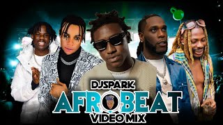 2023 BEST OF BEST NEW AFROBEAT VIDEO MIX BEST OF NAIJA AMAPIANODAVIDO REMA SHALLIPOPI ASAKE [upl. by Wycoff]