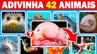 Adivinhe 42 Animais Marinhos em 3 Segundos 🐳🐙  Fácil Médio Difícil Impossível  Quiz de Animais [upl. by Lela]