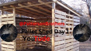 Pallet Shed Day 1 [upl. by Akaenahs329]