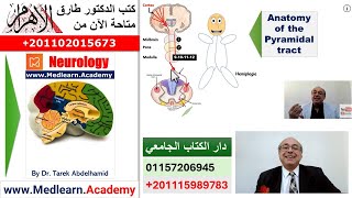 Localization of Neurological Lesions Part 1 usmle internalmedicine cme ecg  محاضراتباطنة [upl. by Arehahs727]