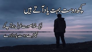 Kuch Dost Bohot Yaad Aatay Hain  Urdu Ghazal on Friendship  Friendship Poetry in Urdu [upl. by Ayekal909]