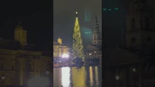 First look at Trafalgar Squares Christmas tree as spruce cut down in Norway [upl. by Hehre393]