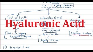 24 Hyaluronic Acid amp Hyaluronidase [upl. by Mathi]