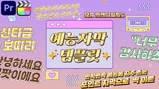 프리미어프로 반짝 반짝 예능 자막 템플릿  파이널컷프로 [upl. by Emoraj936]