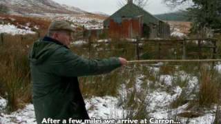 Working Bearded Collies Driving Tups In The Snow [upl. by Dias]