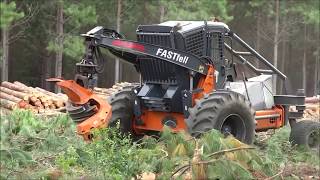 Feller Matriarch Equipment in Pine Plantation [upl. by Nagaek]