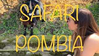 IN GITA  ZOO SAFARI PARK POMBIA Vlog [upl. by Gauldin]