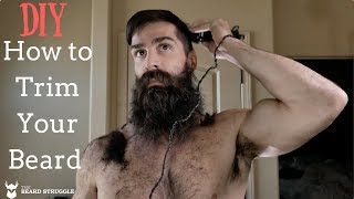 The Beard Struggle  Trim Your Beard Like A Viking  DIY   Daniel Zigler [upl. by Aissilem791]