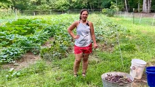 It’s A Lot of Work But It’ll Be Good This Winter  Homestead Vlog  July 31 2024 [upl. by Akenat]