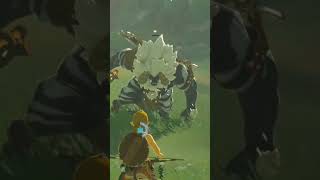 insulting a lynel breathofthewildclip botw botwzelda zelds zeldabotw totk tearsofthekingdom [upl. by Angie]