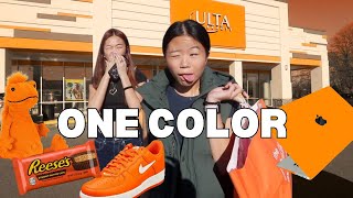 BUYING Everything in ONE COLOR for my SISTER NO BUDGET 😱 [upl. by Sezen]