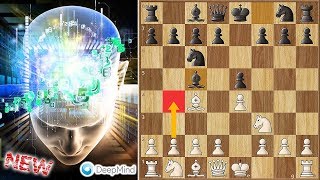 Evans Gambit on The Highest Level  AlphaZero vs Stockfish [upl. by Aihtenak114]