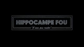 Hippocampe Fou  JSAIS PAS ROULER [upl. by Natsirc]