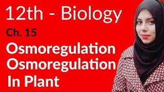 2nd Year Biology Ch 1  Osmoregulation in Plant  FSc Biology Book 2 [upl. by Sandeep]