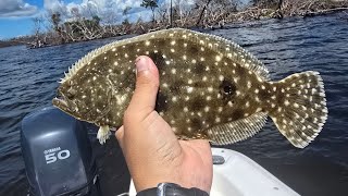 Fishing in Sanibel after Hurricane Helene 🌀 [upl. by Eleonora]