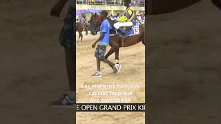 Les moments forts des courses hippique horse courseshippiques sports cheval equestrian [upl. by Horner]