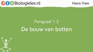 Havo Vwo 1  Stevigheid en beweging  3 De bouw van botten  Biologielesnl [upl. by Ennasor435]