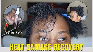 HOW TO REPAIR DAMAGED HAIR with HERBS [upl. by Northway970]