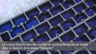 Végétalisation de toiture Optigreen [upl. by Adnamahs720]