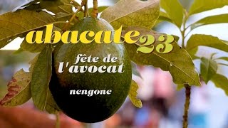 ABACATE 23 Maré Avocado Festival 2016 official shortfilm [upl. by Witherspoon]