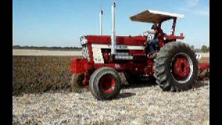 IH 1566 BS 1468 1466 1066 plowing [upl. by Pascale]