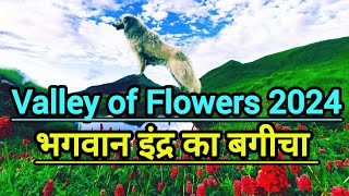 4K Valley of Flowers Trek Uttrakhand 2024  फूलों की घाटी National park Monsoon viewValleyofFlower [upl. by Okiron608]