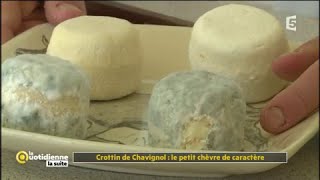 Crottin de Chavignol  le petit chèvre de caractère  La Quotidienne la suite [upl. by Dnalyag]