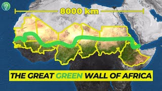 Why Africa Needs A Green Wall [upl. by Naimed313]