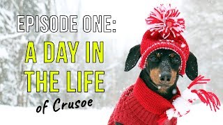 Episode One A Day in the Life of Crusoe [upl. by Isdnyl]