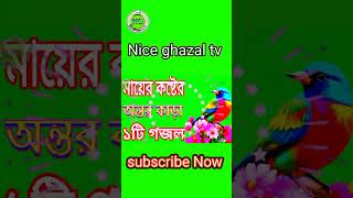 islamicReelsgazal nicegojol banglagazal newghazal NiceGhazal [upl. by Resaec302]