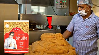 देखिए फैक्टरी में quotbikaji bhujiaquot कैसे बनाते है See how these products are made in factory [upl. by Houston]