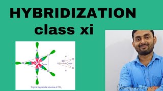 hybridization chemistry class 11 [upl. by Dillon]