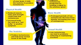 All You Need to Know About Testosterone From an Author and Long Term User [upl. by Iemaj658]