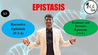 Genetics Epistasis Recessive Epistasis amp Dominant Recessive Epistasis BScMSc Life Science [upl. by Anyek202]