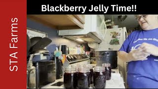 Blackberry picking and Jelly making [upl. by Hayalat]