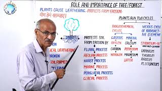 ROLE AND IMPORTANCE OF TREE amp FOREST  Part 25  By SS Ojha Sir [upl. by Arahk]