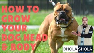 How to Grow Dog Head amp Body Structure  Bhola Shola [upl. by Terzas]