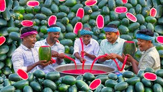 WATERMELON MILKSHAKE  Summer Healthy Drinks  Fresh Watermelon Juice Making in Village [upl. by Kenton]