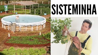 Sisteminha  A produção integrada de alimentos que está transformando vidas [upl. by Jillana]