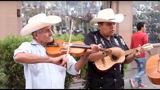 Trío Tordo Huasteco toca El Querreque en La Calle del Huapango en SLP [upl. by Iegres]