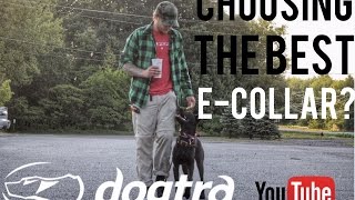 Dogtra 1900S Ecollar Dog Training and Review with Americas Canine Educator [upl. by Anahsit]