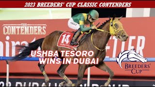 2023 Breeders’ Cup  Japan Contenders  Ushba Tesoro [upl. by Anattar]