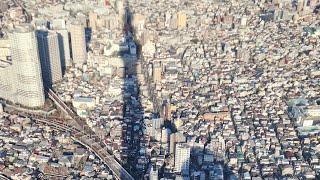 Walking Tokyo² SkyTree shibuyashinjuku cat  night [upl. by Nosral]