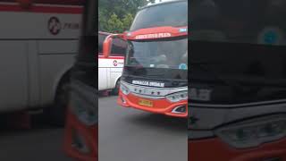 bis ROSALIA INDAH  Semin  Jogja  Cileungsi videoshort bismaniacommunity [upl. by Anuala]