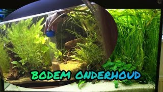 Bodem ONDERHOUD AQUARIUM aquarium AFHEVELEN Nickey [upl. by Niarb]