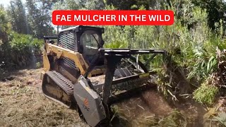 Forestry Mulching Land in South West Florida with our new FAE Forestry Mulcher [upl. by Lleihsad285]