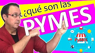 🛠💰💵 ¿Qué es una PYME  Pequeña y Mediana Empresa  y qué representa en el tejido empresarial [upl. by Sira773]