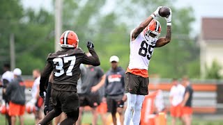 Why to Keep an Eye on Browns WR Matt Landers During the Preseason  Sports4CLE 8924 [upl. by Aw]