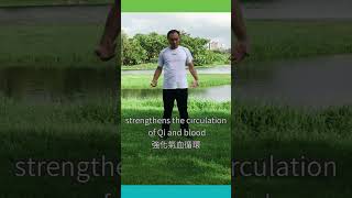 【顫掌功】Qigong Exercises  Trembling Palms  先天氣功 [upl. by Alleacim889]